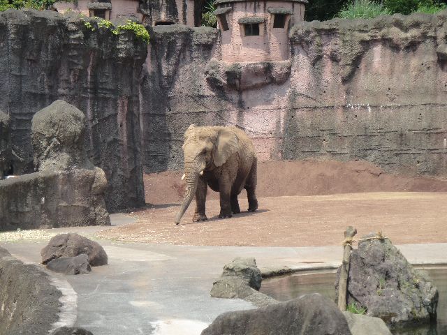 多摩動物公園 その5