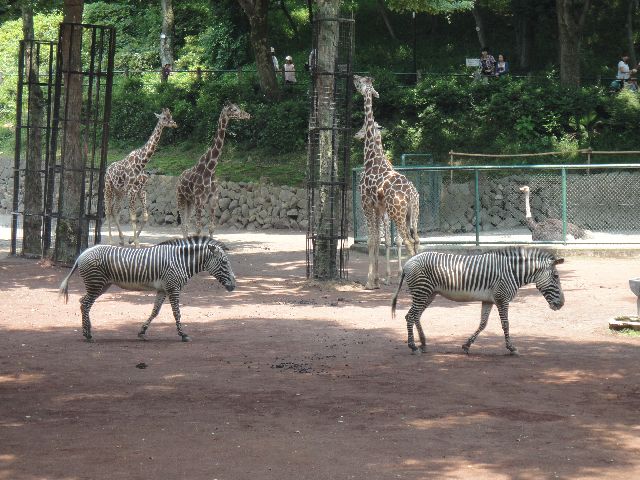 多摩動物公園 その6