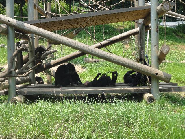 多摩動物公園 その7
