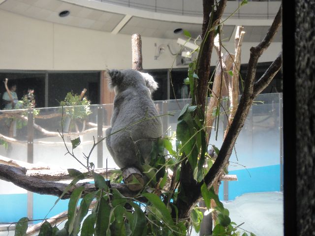 多摩動物公園 その9