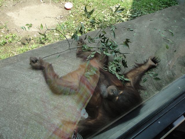 多摩動物公園 その10