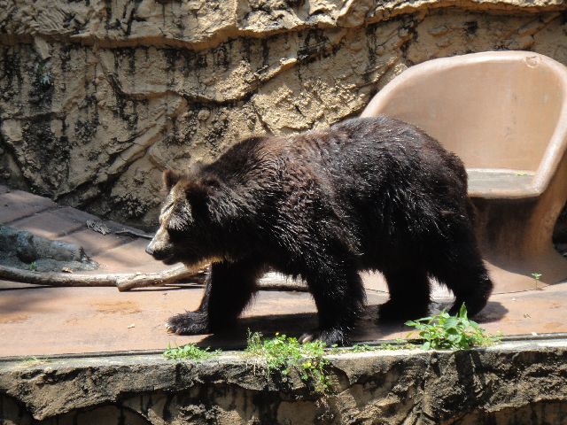 多摩動物公園 その12