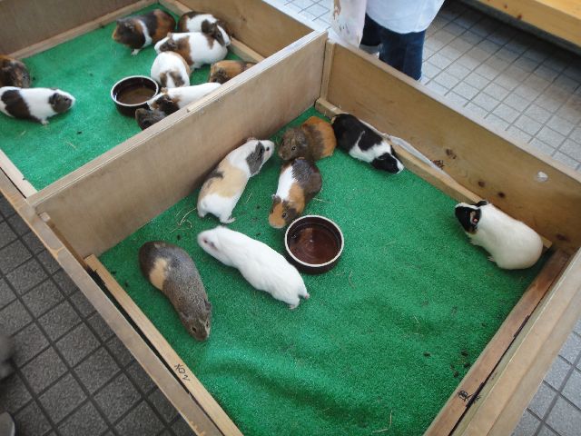 多摩動物公園 その14