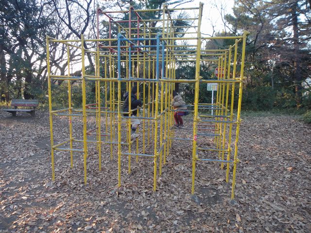 ジャングルジム