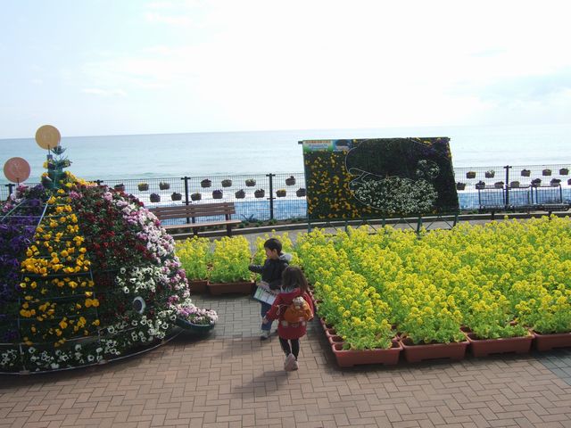 鴨川シーワールド その2