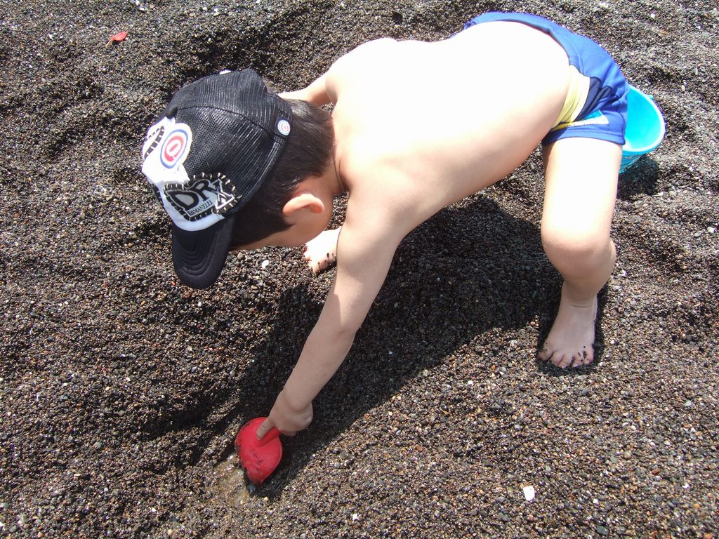 《とり》@城南島海浜公園